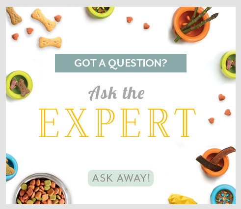 Ask the Expert