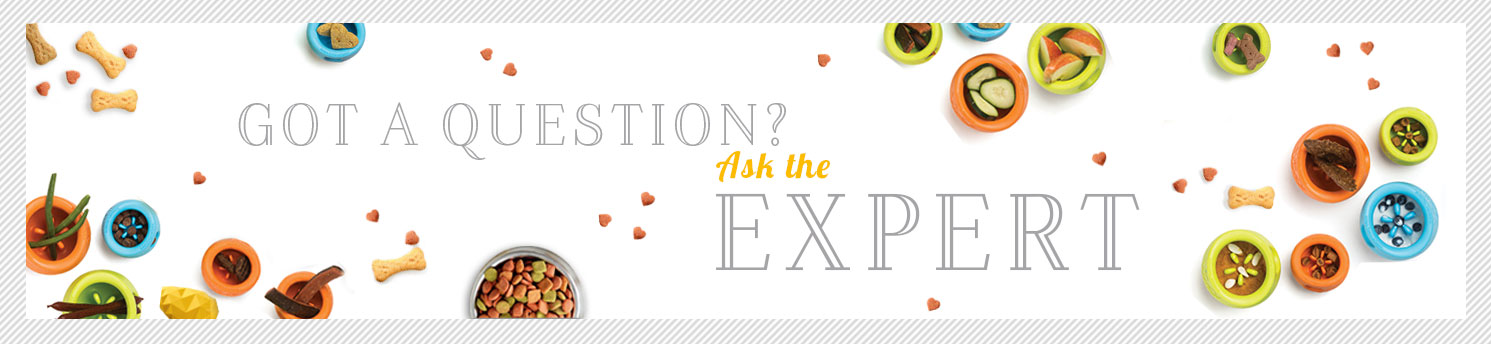 Ask the Expert